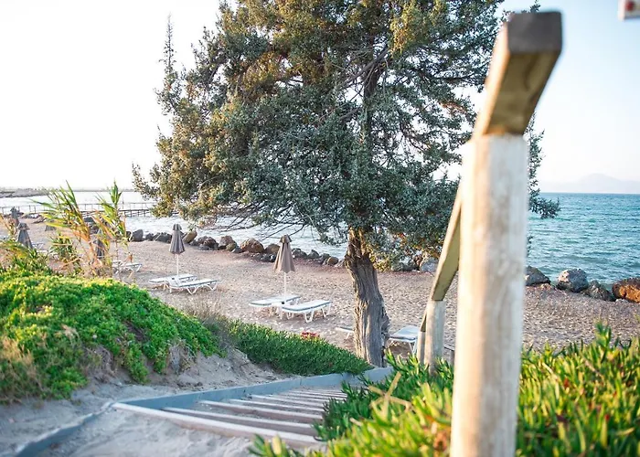 Mastichari Bay 4* Mastichari (Kos)