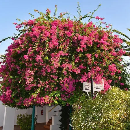 Mastichari Bay ماستيخاري