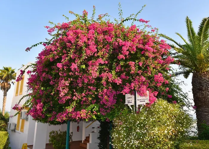 Mastichari Bay Mastichari (Kos)